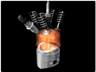 /202110/1633674282_cf438acf0fd459f3139b.jpg